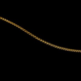 Grandinėlė Genista