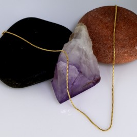 Grandinėlė Genista