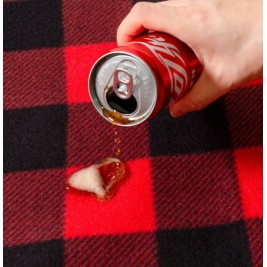 Pledas Picnic Pledas Picnic