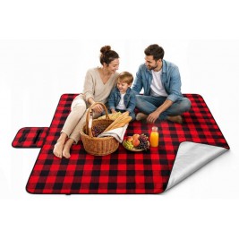 Pledas Picnic Pledas Picnic